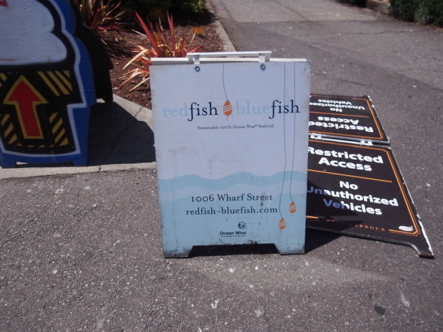 redfishbluefish01〜20140905